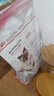 皇家幼猫奶糕 幼猫猫粮 BK34 通用粮 1-4月 2KG 实拍图