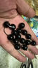普陀山乌金黑曜石手串男补水事业护身男女情侣手串护身符生日礼物 实拍图