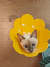 欢宠网伊丽莎白圈猫狗宠物猫咪狗狗绝育项圈软头套脖套防舔防咬脖圈耻辱 实拍图