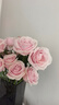 【玫瑰花】花店同款甘肃玫瑰西北鲜花无土栽培易开花期长七夕礼物 粉红雪山单头玫瑰 20枝 实拍图