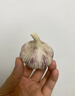 紫白皮蒜水果大蒜超市即食生鲜蔬菜大蒜 [活动]10头 200g 单果3.5-5cm 实拍图