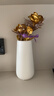 枔北 陶瓷花瓶花艺装饰摆件 日式轻奢高级感插花水养瓷器客厅装饰品 思慕白色小号花瓶(高约20厘米) 尺寸参考详情 实拍图