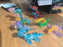 百里霜恐龙十二合一拼装积木玩具6-9岁小颗粒积木拼插摆件生日礼物 实拍图