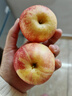 2025年新果嘎啦苹果脆甜多汁新鲜采摘山野 带箱二斤 实拍图