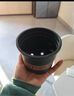花盆绿植盆栽加厚塑料简约多肉小盆阳台客厅月季玫瑰大号家用花盆 矮款0.5加仑(口径10cm)1个盆 不带托盘 实拍图