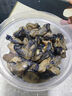 金唐金蚝干大号200g 牡蛎干生蚝干煲汤煮粥材料 海产干货中秋食材 实拍图
