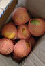 XIAOBO FARM正宗赣南脐橙甜橙 鲜橙子手剥橙榨汁果冻橙冰糖半价水果 4.5-5斤60mm+ 实拍图