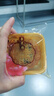 杏花楼中华老字号广式月饼礼盒老式月饼中秋送礼上海特产糕点心 【全新口味】精选新国潮 640g 实拍图