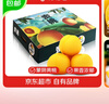 京觅黄桃水果蒙阴新鲜桃子 礼盒装 净重4.5斤 单果150g起 源头直发 实拍图