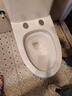 九牧（JOMOO）11173-2-1/41KD-3大力神普通马桶家用虹吸抗菌节水坐便器400坑距 实拍图