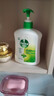 滴露（Dettol）洗手液松木500g瓶 健康抑菌消毒非补充装 儿童家庭用清爽去油 实拍图