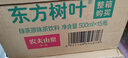 农夫山泉 东方树叶绿茶500ml*15瓶无糖茶饮料0糖0脂0卡整箱装解渴饮品 实拍图