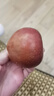 京觅四川大凉山丑苹果 净2斤 单果70mm+ 新鲜水果冰糖心苹果 源头直发 实拍图