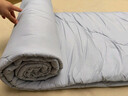 博洋家纺 A类抑菌10%大豆被子 学生宿舍春秋被芯 约2.6斤150*210cm 实拍图