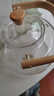 忆壶茶（YIHUTEA）煮茶壶电陶炉煮茶器烧水壶泡茶炉养生壶套装泡茶壶加厚功夫茶具 【透明加厚】雅茗壶1000ml 实拍图