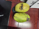 【双十一热卖】玉芒水果芒果新鲜上市 带箱2斤【单果300g+】 实拍图