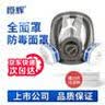 恒辉防毒面具全面罩 防有机气体/蒸苯及其同系物 工业化工化肥防护面具 防毒全面具【1个】 实拍图