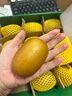 佳沛（zespri）新西兰 阳光金奇异果12粒礼盒特大果单果约122-146g 猕猴桃 水果 实拍图