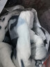 南极人冬季毛毯被子加厚盖毯冬天单床宿舍单人办公室双层拉舍尔铺床毯 觅鹿【店长推荐】 150x200cm约4斤 实拍图