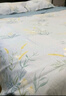 LOVO罗莱家纺100%新疆纯棉三/四件套全棉超柔床上用品单双人床单被套 【清新】超柔新疆全棉-轻风徐来蓝 四件套1.5/1.8m 床单款 被套200*230cm 实拍图