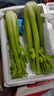 【产地顺丰】寿光大西芹新鲜蔬菜去叶西洋芹脆嫩芹菜榨汁水果西芹 产地顺丰+现摘现发+出汁保障 去叶发货【3斤】 实拍图