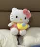 维尼小象正版HelloKitty凯蒂猫公仔毛绒kt猫玩偶六一儿童节礼物生日礼物 实拍图
