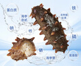 辽参有机冷冻海参3斤装10-12头*3非即食独立包装 源头直发 固形物85% 实拍图