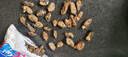 生蚝干 牡蛎干海蛎子干货 生蚝干250g 实拍图