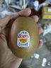 佳沛（zespri）新西兰 阳光金奇异果12粒礼盒特大果单果约122-146g 猕猴桃 水果 实拍图