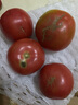【超市精选】山东沙瓤水果西红柿新鲜番茄蔬菜减肥单果100g起 西红柿中大果 1斤 净重 实拍图
