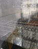 康宝（Canbo）消毒柜家用立式不锈钢大容量商用130L家庭餐具紫外线双门二星消毒碗柜【国家补贴】XDZ130-D1 实拍图
