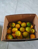 京鲜生 东江湖蜜橘 5斤 单果50g起 橘子/桔子  生鲜水果礼盒 实拍图