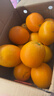 玖原农珍 赣南脐橙现摘新鲜榨汁水果橙子 年货水果礼盒 9斤净果彩箱精品果王300g+ 实拍图