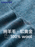 罗蒙【100%羊毛】纯羊毛衫男秋冬圆领毛衣男士薄款套头打底针织衫男装 实拍图