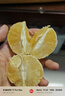 京鲜生 云南哀牢山冰糖橙/橙子 净重5斤  单果100-130g 生鲜水果礼盒 实拍图