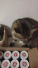 顽皮（Wanpy）三文鱼猫罐头80g*24罐（汤汁型）出口级 猫咪零食happy100果饭儿 实拍图