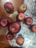 2025年现摘现发甘肃天水花牛苹果新鲜红蛇果粉面生鲜脆甜多汁A14 带箱2斤  果径65-70mm 实拍图