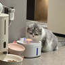 meoof觅凹蛋卷自动喂食器猫咪狗狗投食机定时定量摄像头可视+32G存储卡 实拍图