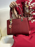 斐月伽 婚包新娘包包红色手提包妈妈喜婆婆高级感大容量女神节礼物挎包 酒红色【红线】 实拍图