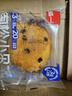 泓一海苔肉松小贝 蛋糕面包早餐点心休闲零食代餐下午茶点心480g 实拍图