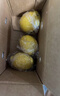 广东香水黄柠檬包邮新鲜水果柠檬精选皮薄奶茶店专用整箱 现货 柠檬带箱2斤单果70g+约10-18个 实拍图