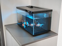 米家（MIJIA）智能生态鱼缸还原自然生态 智能鱼缸+滤芯套装 实拍图