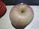 探味君 正宗大凉山丑苹果 当季时令新鲜水果四川冰糖心苹果红富士 生鲜 净重4.5-5斤 单果70mm-75mm 实拍图