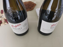 奔富（Penfolds）BIN311霞多丽干白葡萄酒750ml*1支螺旋盖 原瓶进口【澳版】 实拍图