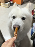 疯狂小狗中大型犬狗粮成幼犬40斤装宠物柯基边牧金毛拉布拉多鸡肉燕麦20kg 实拍图