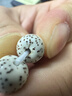 巧品海南原生态星月菩提子手串零脱脂顺白大留白老型桶文玩男女手串 原生态老型珠9*10mm A++ 实拍图