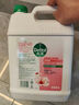 滴露（Dettol）洗手液消毒抑菌滋润500g+500g补充装儿童家庭护手替换 实拍图