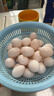 保卫蛋蛋新鲜鸽子蛋农家孕妇宝宝杂粮喂养送礼礼盒年货节礼盒送礼 初生头产丨鸽子蛋30枚（400g） 实拍图