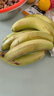 广东超甜香蕉青香蕉发货放熟吃雯婷新鲜水果 净重3斤 实拍图