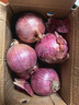 京营【脆甜新鲜】水果洋葱 紫皮小洋葱现挖现发圆洋葱头蔬菜批发 实拍图